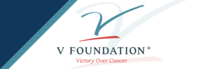 Logo of a foundation with stylized blue and red design and text.