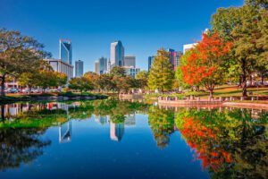 City skyline reflected in a tranquil pond.