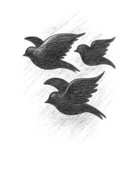 Silhouette of three flying birds on black.